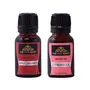 The Pink Knot Apple Cinnamon & Citronella set of two aromatic fragrant diffuser oil (15ml each)