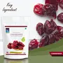 TIM TIM Premium Dried Cranberries 200 gm, 5 image