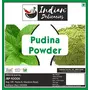 Indian Delicacies Mint (Pudina) Powder I Fresh & 100% Natural I (400gm), 5 image