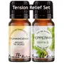 The Premium Nature Frankincense Essential Oil & Peppermint Oil - Tension Relief Set for Headache & Nausea Relief - 100% Pure Therapeutic Grade Essential Oils Set - 2x10ml