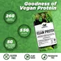 Bigmuscles Nutrition Vegan Protein [500g Lychee] | Organic Plant Based Protein + Superfood | 26g protein 0g Sugar | Non-Dairy Lactose-Free Gluten-Free Soy Free, 3 image