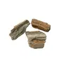 Sahib Healing Crystals Natural Petrified Wood Bark 100 Grams Rough Raw Stone for Reiki Healing Vastu Correction Feng Shui Meditation Positivity and Energy