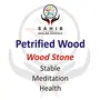 Sahib Healing Crystals Natural Petrified Wood Bark 100 Grams Rough Raw Stone for Reiki Healing Vastu Correction Feng Shui Meditation Positivity and Energy, 2 image