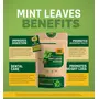 SHWET SWARNA Pure Natural Mint Leaves Powder/Podhina Powder Herbal Ayurvedic Health Supplement Product 200GM, 4 image