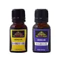 The Pink Knot Ylang-Ylang & Sea Breeze set of two aromatic fragrant diffuser oil (15ml each)