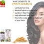 AOS Products 100% Pure and Natural Wheat germ Oil - Suitable for All Skin Types Pure Oil Use for Hair Care Skin Care - 500 ml, 2 image