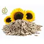 A D Food & Herbs Raw Edible Sunflower Seeds / Surajmukhi Beej ( Unsalted / Unroasted ) - 50 Grams, 2 image