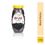Dryo Dry Fruit Combo Raisin 250gm & Black Raisin 250g, 4 image