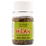 Milan Betel Spice Mix - 1 Bottle | Sweet & Spiced Breath freshener | No Added sugars | No Supari |