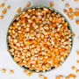 MiniMall Super Market Popcorn Kernels/Unpopped Popcorn Seeds/Makki (2 Kg), 3 image