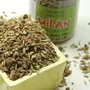 Milan Betel Spice Mix - 1 Bottle | Sweet & Spiced Breath freshener | No Added sugars | No Supari |, 3 image