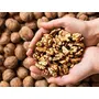 Nutri Desire Kashmiri Walnut Without Shell 200gm hrot Giri (Limited Stock), 2 image