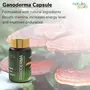 Nature Sure Ganoderma Capsules for Men and Women - 1 Pack (60 Capsules), 4 image