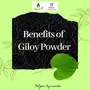 Nxtgen Ayurveda Giloy Powder (Tinospora Cordifolia) - 100 GMS, 3 image