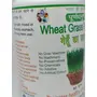 Purndhenu Wheat Grass Powder 50grms, 3 image
