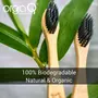 Orgaq Organicky Natural Bamboo ToothBrush With Charcoal Infused Bristle for Oral Care| Eco Friendly - 2 Pc, 2 image