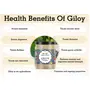 Organic Infinity Giloy/Guduchi/Tinospora cordifola Powder - 200 GM By Organic Infinity, 3 image