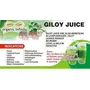 Organic Infinity Giloy/Guduchi/Tinospora cordifola Powder - 200 GM By Organic Infinity, 5 image