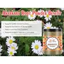 Organic Infinity Akarkara Root Powder | Anacyclus Pyrethrum | Pellitory Root Powder- 500 GM By Organic Infinity, 3 image