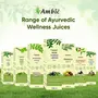 AMBIC Neem Karela Jamun Juice for Diabetes - 1000ml Ayurvedic Diabetic Care Juice Helps Maintain Healthy Sugar Levels Immunity Booster Juice for Skin Care & Natural Detox No Added Sugar, 10 image