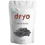 Dryo Premium Natural Black Raisin/ Kali Kishmish/ Munakka/ Raisins 500 gm
