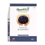 Handsfull Premium Mixed Nuts - Walnuts Almonds Cashew Nuts Pista Apricots Blueberries 200g Each (Total 1200g), 8 image