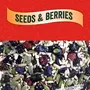 JEWEL FARMER Seeds & Berries Mix with Cranberries Flaxseeds Black Raisins Muskmelon Seeds Blueberries Pine Nuts Blackcurrants Pumpkin Seeds Sunflower Seeds (100g), 2 image