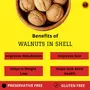 King Uncle Californian Walnuts in Shell 500 Grams Yellow Pack, 2 image