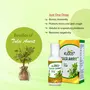 Kudos Ayurveda Tulsi Amrit | Best Tulsi Drops for Immunity Booster - 51ml | Healthy Lifestyle Pure Ayuvedic & Safe, 10 image