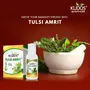 Kudos Ayurveda Tulsi Amrit | Best Tulsi Drops for Immunity Booster - 51ml | Healthy Lifestyle Pure Ayuvedic & Safe, 4 image