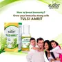 Kudos Ayurveda Tulsi Amrit | Best Tulsi Drops for Immunity Booster - 51ml | Healthy Lifestyle Pure Ayuvedic & Safe, 6 image