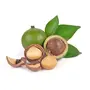 ketosy Premium and fresh Macadamia Nuts 200g, 8 image