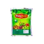Manushree Premium Raw Pumpkin Seeds 500g, 4 image
