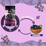 NATURE YARD Pitted Prunes Without sugar Dry fruit - 250 gm - 100% natural & Unsweetened Dried Fruit No added preservatives, 6 image