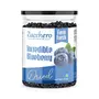 Zucchero Dried Blueberry Jumbo whole 400g - Rich Phytoflavinoids | Juiciest Berry| Californian