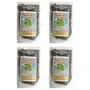 Sreenivasa Andhra Special Curry Leaves Spicy Powder - Pack of 4 x 100gm