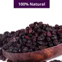 Healthy Master- Black Berry ( 500 Gm) Naturally Dried Berries Antioxidant-Rich Immunity Building Naturally Sweet Dehydrated Gluten Free Non-GMO & Vegan, 7 image