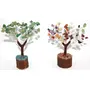 Odishabazaar Natural Healing Gemstone Crystal Fengshui Bonsai Money Tree Fortune Tree for Good Luck Wealth & Prosperity Happiness Home Good Luck Decoration Healing Gift Set of 2 (7 Chakra + Green Jade)