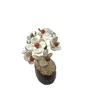 Healing Abode Wooden Gomati Chakra Tree with Rudraksha Beads and Clear Quartz Flakes at Base