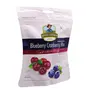 JEWEL FARMER American Dried Blueberry Cranberry Mix with Ready to Eat Berries Cholesterol Free & Dietary Fiber Rich Dry Fruits (100g), 5 image