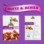 JEWEL FARMER Fruits & Berries Mix with Pineapple Mango Guava Papaya Kiwi Pomelo Strawberry Cherry Goji Berries Cranberry & Blueberry (200g), 2 image