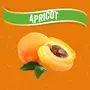 JEWEL FARMER SeedlessTurkish Apricot Gluten-Free Vitamin & Dietary Fiber Rich Dried Fruit Pack (250g), 3 image