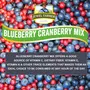 JEWEL FARMER American Dried Blueberry Cranberry Mix with Ready to Eat Berries Cholesterol Free & Dietary Fiber Rich Dry Fruits (100g), 2 image