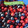 JEWEL FARMER American Dried Blueberry Cranberry Mix with Ready to Eat Berries Cholesterol Free & Dietary Fiber Rich Dry Fruits (100g), 3 image