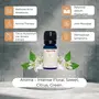 Sugandhim Neroli Essential Oil 1 x 10ml Steam Distilled Aromatherapy 100% Pure Natural & Undiluted Organic Therapeutic Grade OilAroma Diffuser Alleviates Anxiety Cold Pressed Made In India, 4 image
