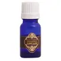 Jain's Ylang Ylang  Natural Essential Oil (10 ml), 2 image