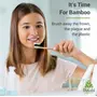 Rusabl Organic Bamboo Toothbrush with Bamboo Case for Kids Travel-Friendly Charcoal Activated Soft Bristles Biodegradable & Anti-Bacterial Eco-friendly & Natural (Pack of 1), 8 image