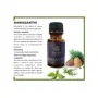 Shirasanthi - Calming Ayurvedic Essential Oil Blend by Nattika Essence - 10 ml - Basil Rosemary Cedar - Manage Migraine and Headache, 3 image