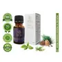 Shirasanthi - Calming Ayurvedic Essential Oil Blend by Nattika Essence - 10 ml - Basil Rosemary Cedar - Manage Migraine and Headache, 2 image