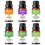Pure Herbology Pure Therapeutic Grade Oils kit- Top 6 Aromatherapy Oils Gift Set-6 Pack 15ml (Peppermint Tea tree Rosemary Orange Lavender Lemongrass Essential Oil )